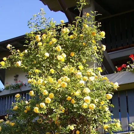 Holiday Rosengarten In The Ilztal Lejlighed *