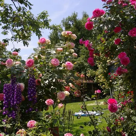 Holiday Rosengarten In The Ilztal * Fursteneck